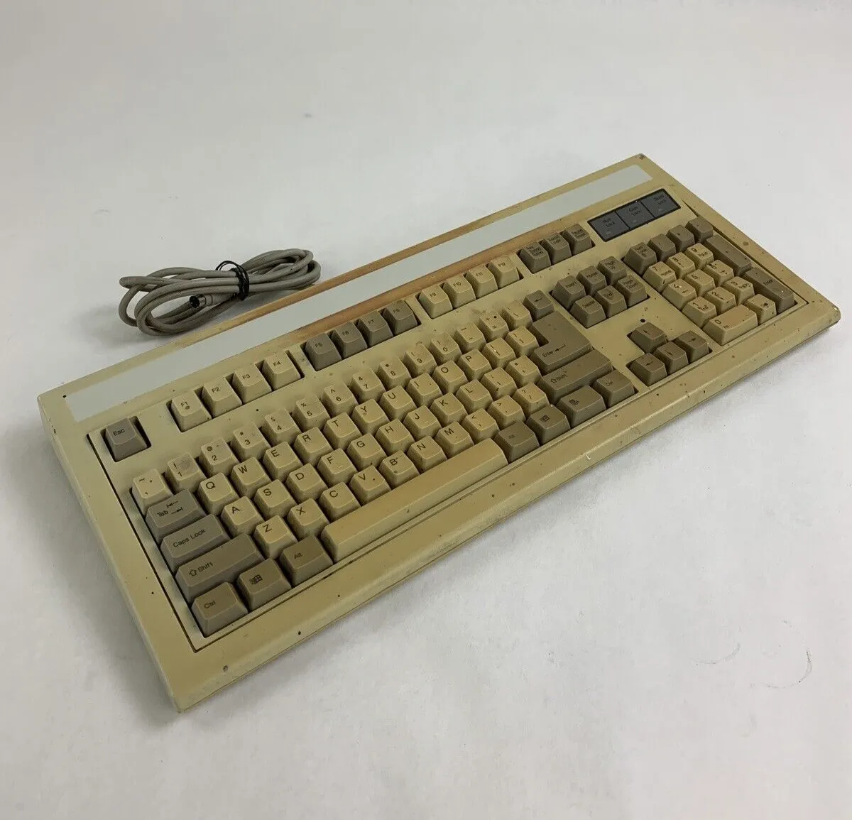 Chicony KB-5981 Mechanical Keyboard Tested Vintage