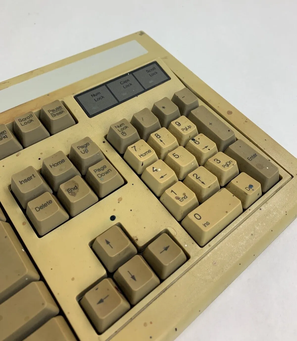 Chicony KB-5981 Mechanical Keyboard Tested Vintage