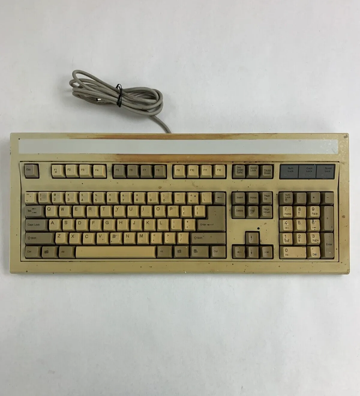 Chicony KB-5981 Mechanical Keyboard Tested Vintage