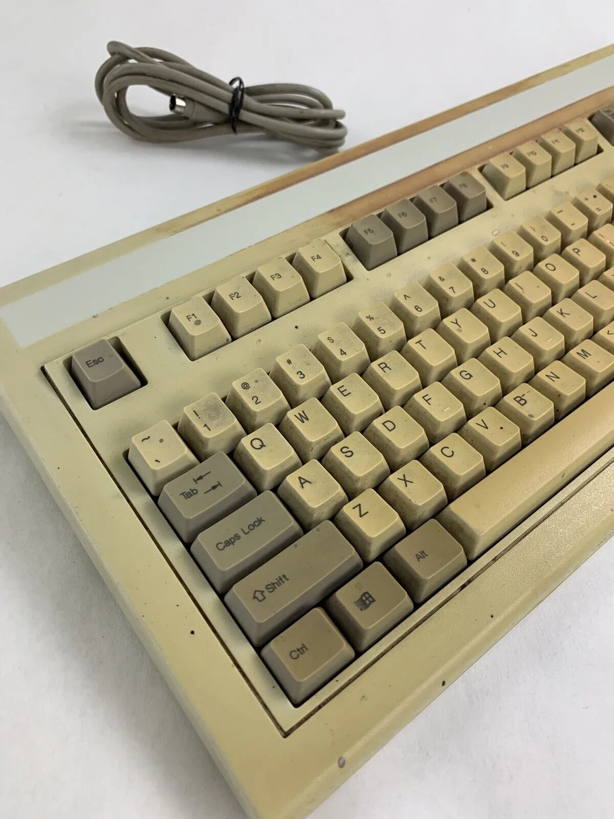 Chicony KB-5981 Mechanical Keyboard Tested Vintage