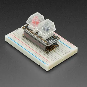 NeoKey FeatherWing - Two Mechanical Key Switches with NeoPixels