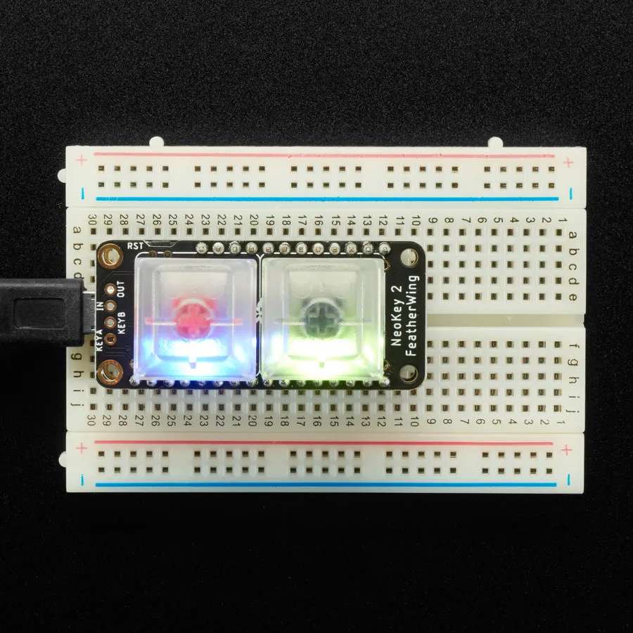 NeoKey FeatherWing - Two Mechanical Key Switches with NeoPixels