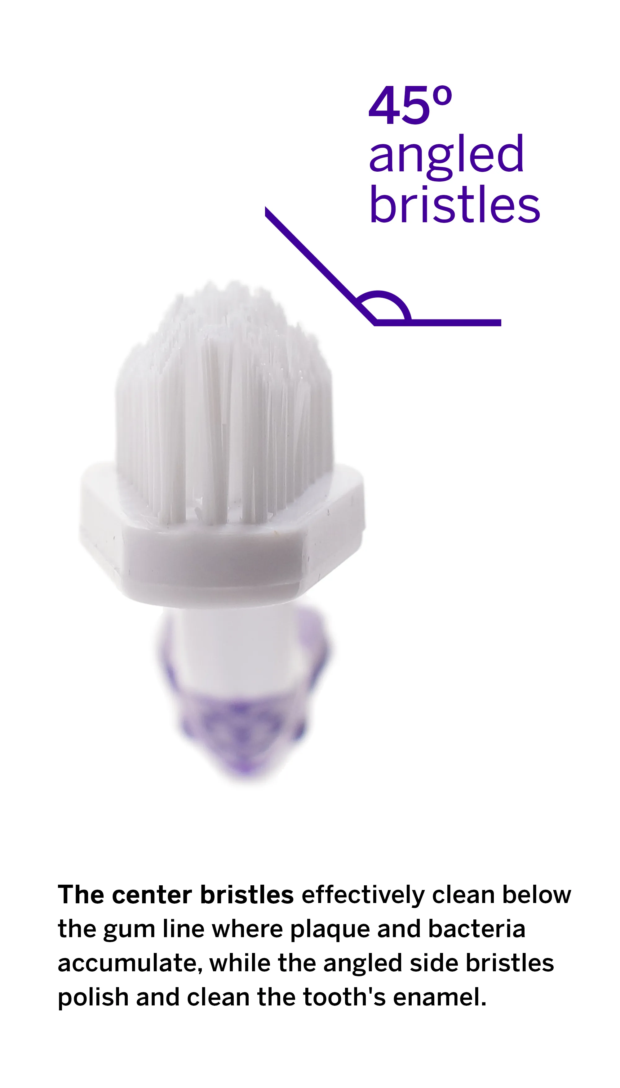 Professional Pet Toothbrush - Patented 45° Dual-Ended Brush Head