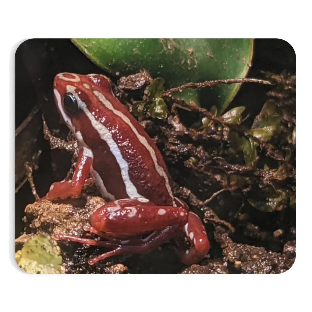 Red Frog Mouse Pad (EU)