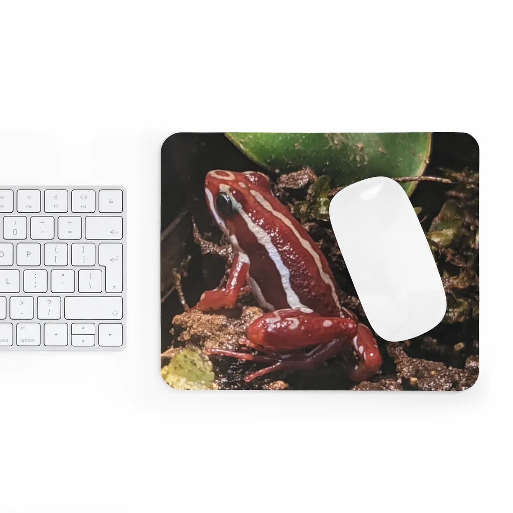 Red Frog Mouse Pad (EU)