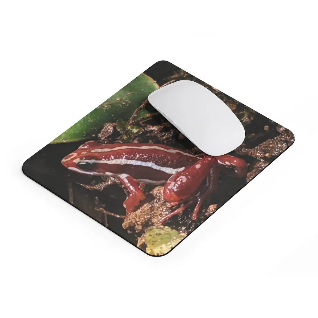 Red Frog Mouse Pad (EU)